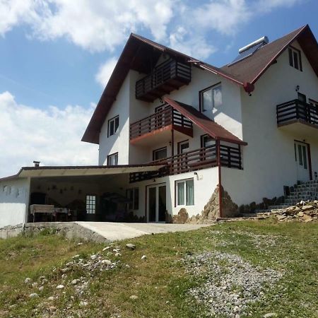 Appartamento La Curtea Argeseana Valea Iasului Esterno foto