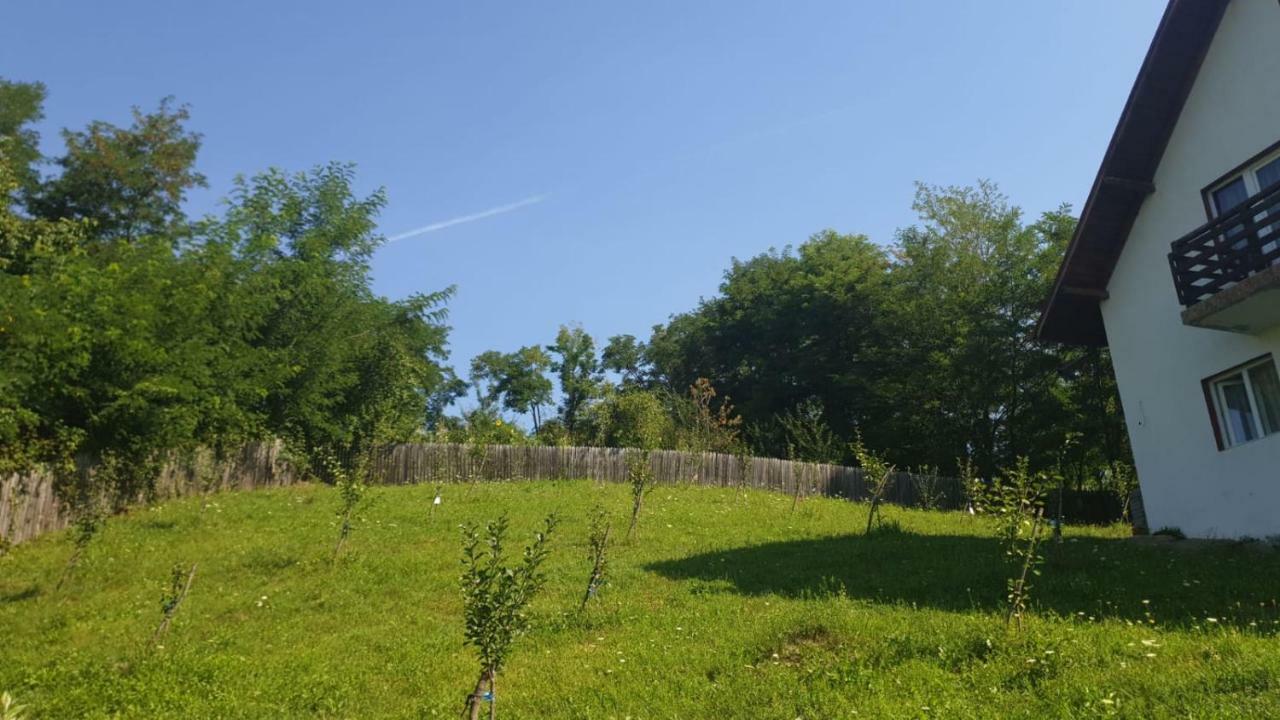 Appartamento La Curtea Argeseana Valea Iasului Esterno foto